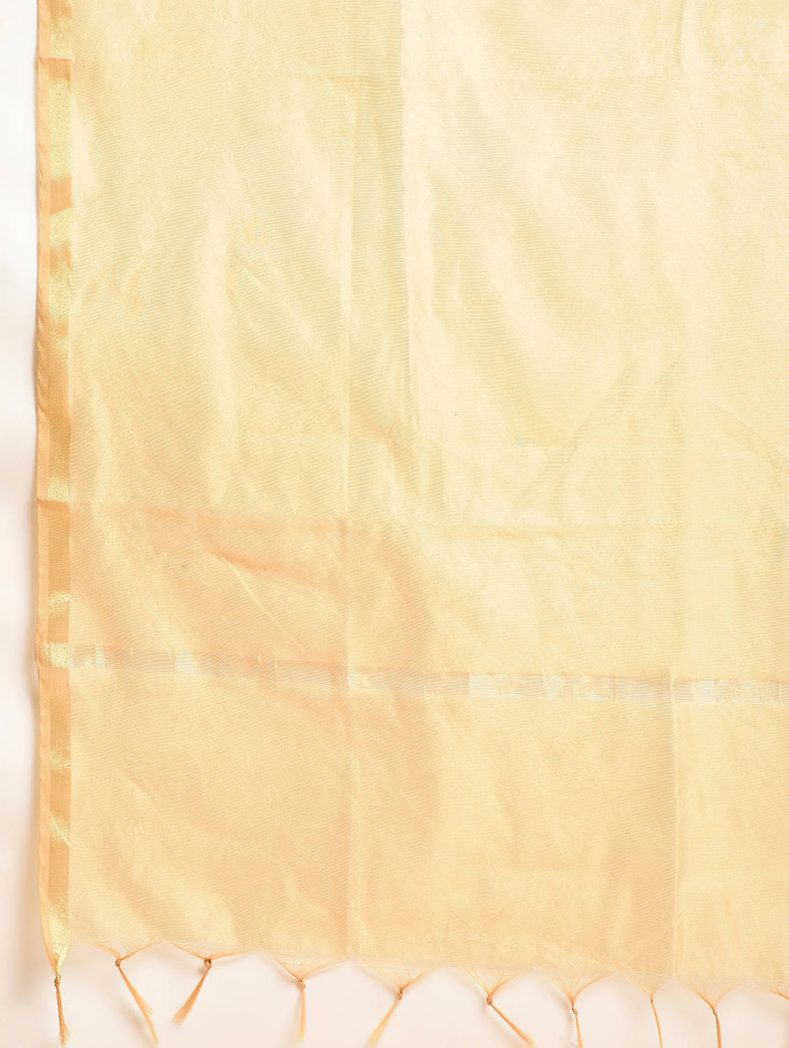 Kaanchie Nanggia Nude Printed Kurta And Palazzo With Dupatta (Set of 3)